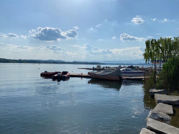 7EEDD5FE-1550-4766-8B1E-FE9207FD4F07